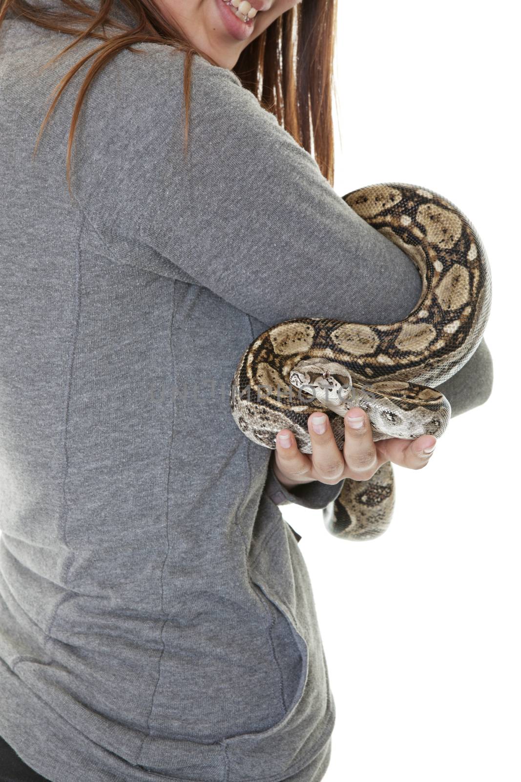 A curious pet boa snake held by a smiling young woman.  Shot on white background.