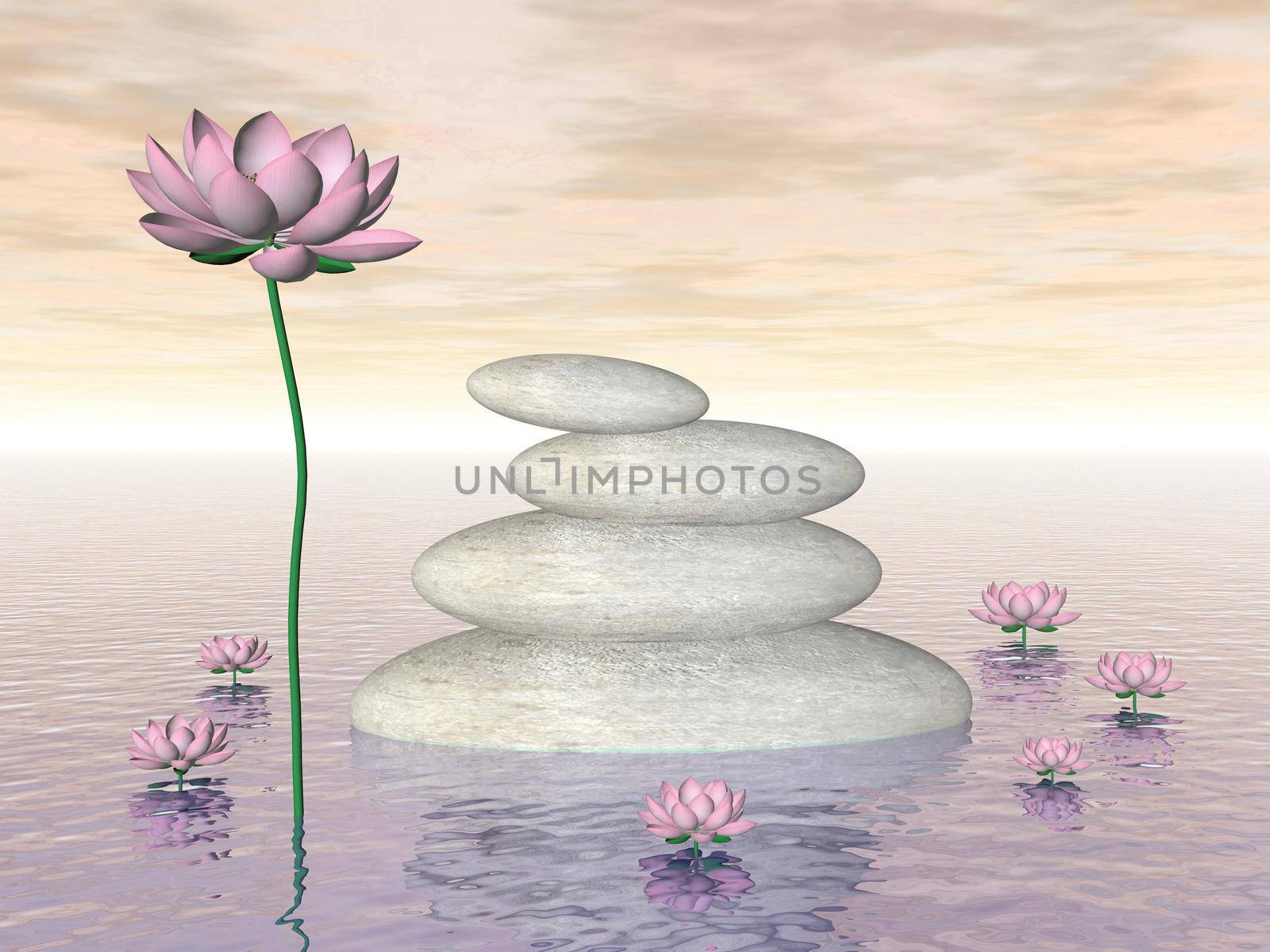 Pink lily flowers and leaves next to white stones upon water by colorful day