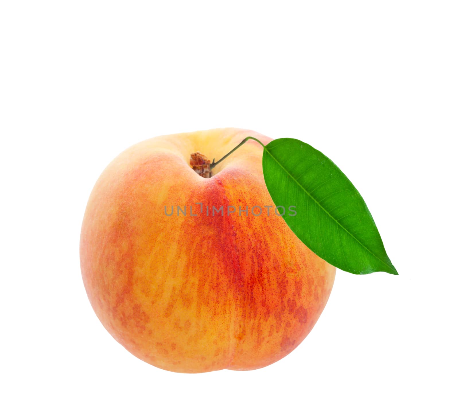 A freshly picked peach with leaf still attached.  Shot on white background.  