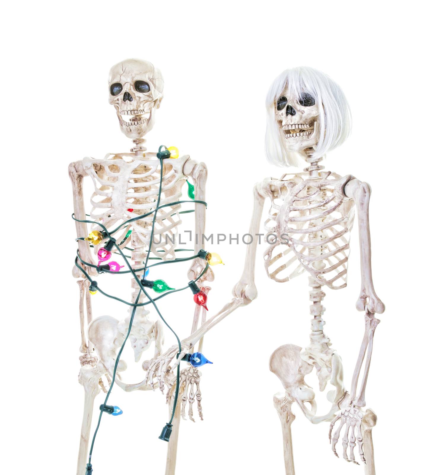 A male skeleton tied up with christmas lights and a female skeleton holding the end.