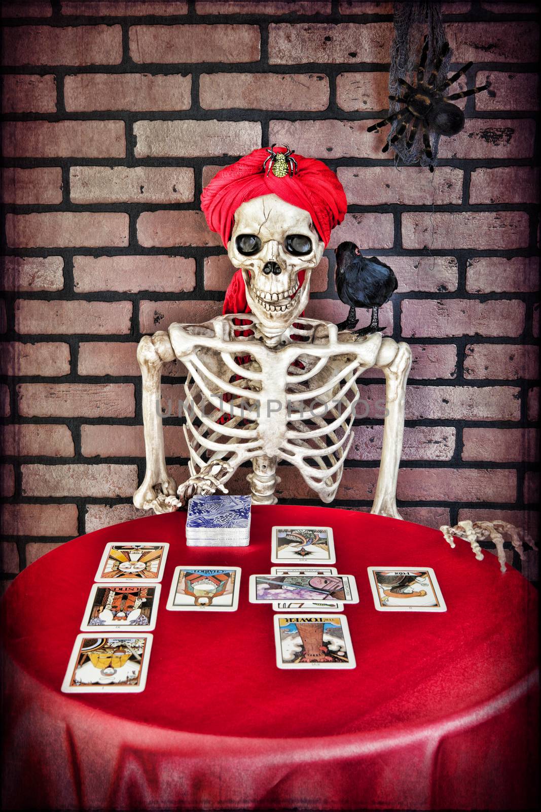 A skeleton doing a Tarot card reading.