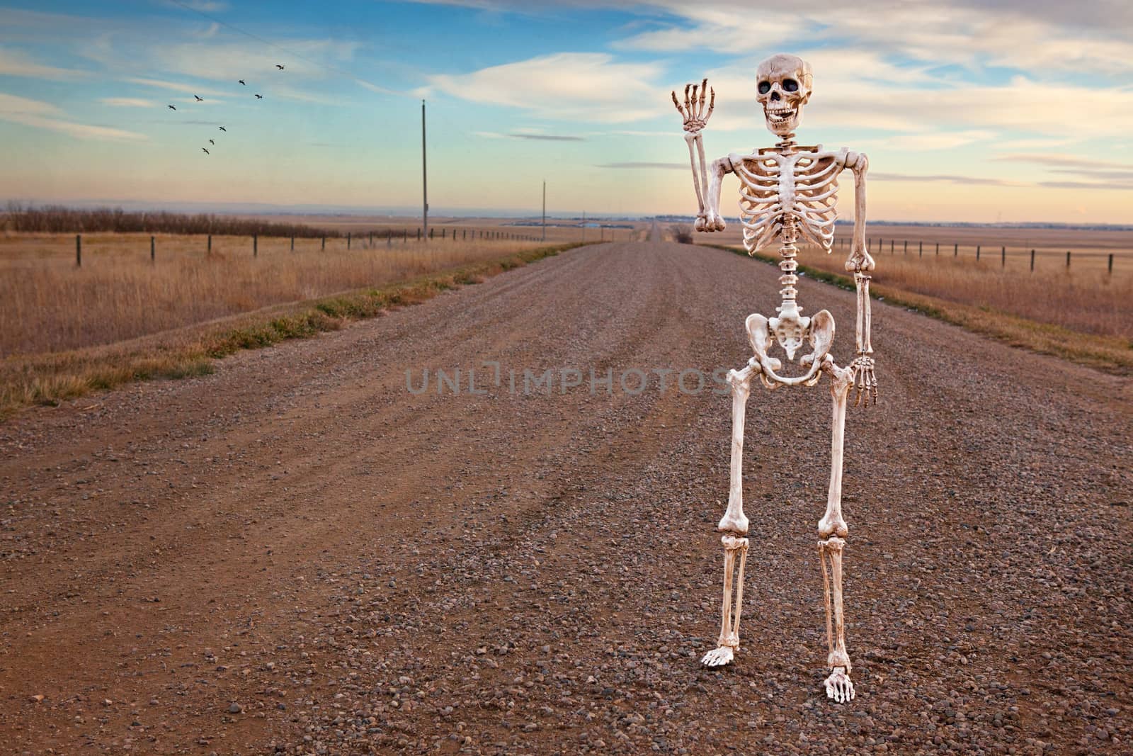 Country Roads Skeleton by songbird839