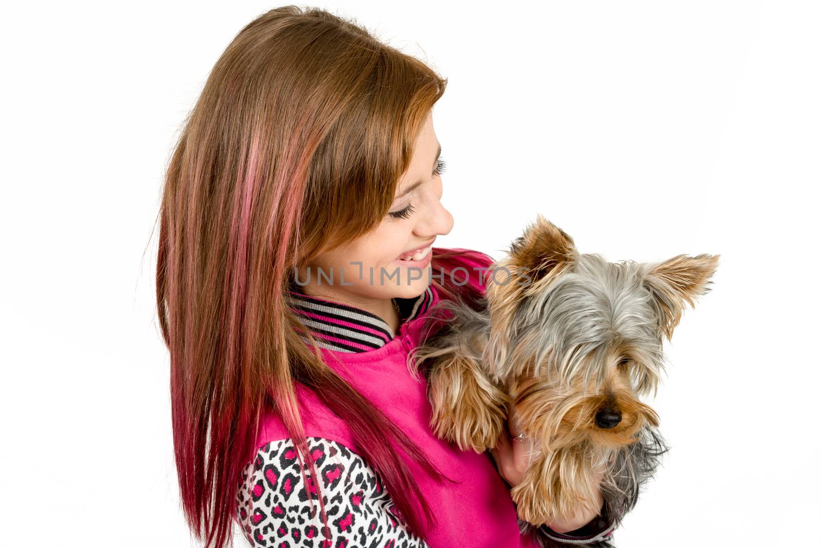 attractive smiling young girl with long hair wearing pink dress with her best friend yorkshire terrier isolated white background