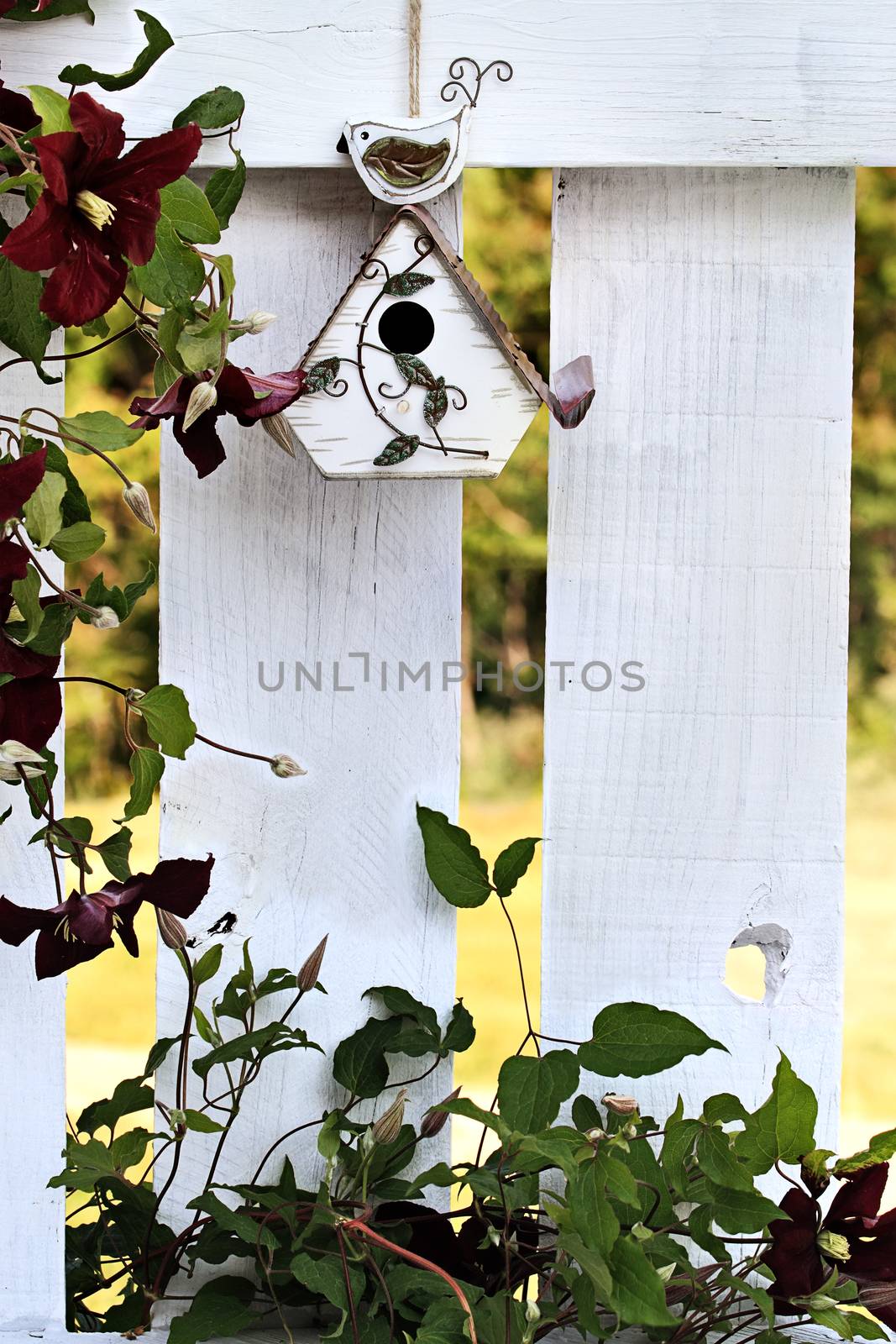 Cute little birdhouse on an old white wooden fence with extreme shallow depth of field.