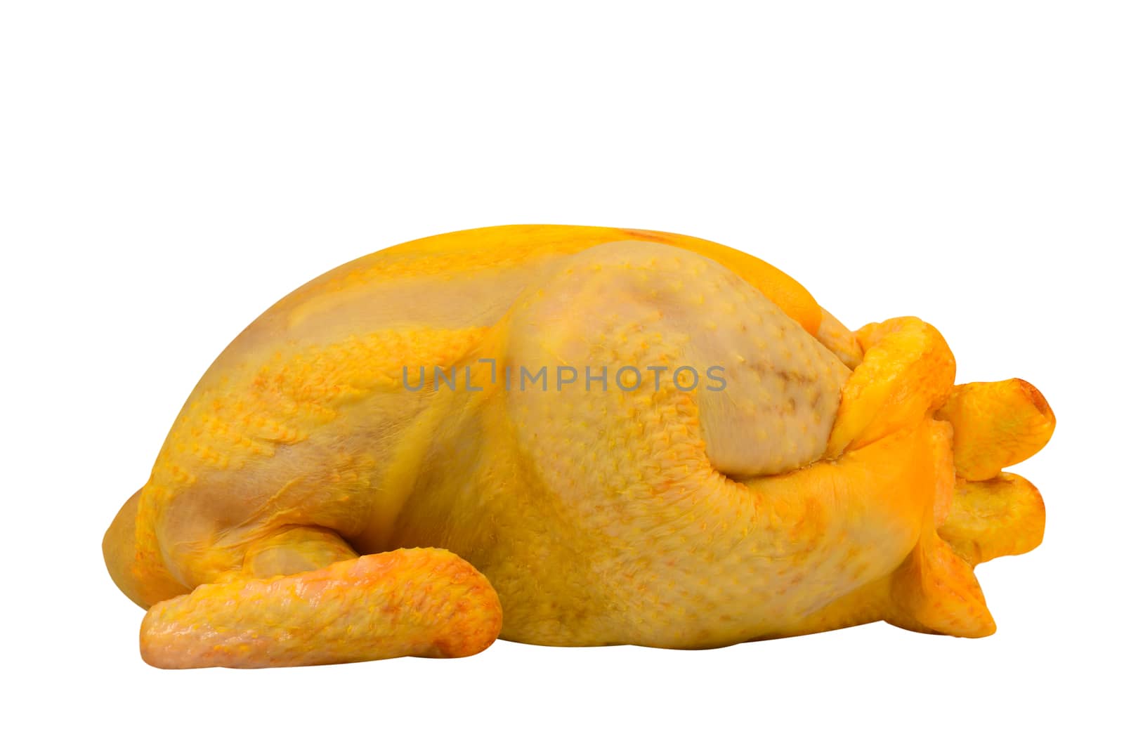 Poultry: Raw Chicken