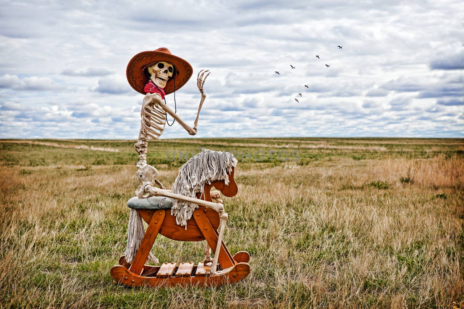 Cowboy Skeleton by songbird839