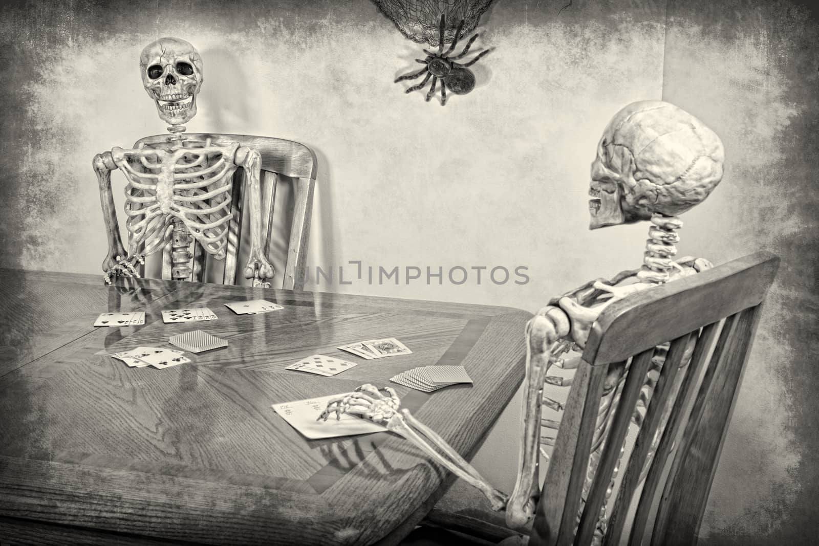 Skeleton Rummy by songbird839