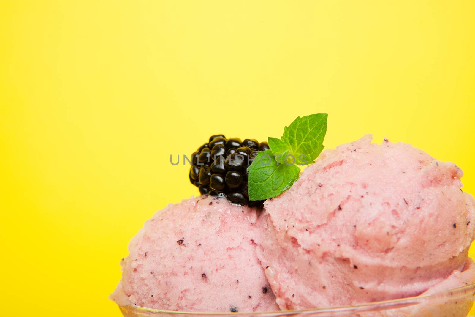 Closeup of tangy saskatoon berry sorbet garnished with a blackberry and a sprig of mint.