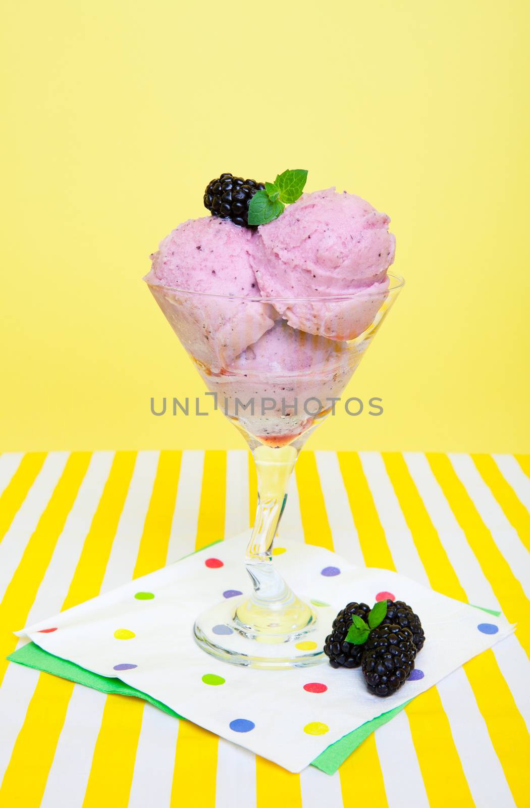 Tangy saskatoon berry sorbet garnished with a blackberry and a sprig of mint.