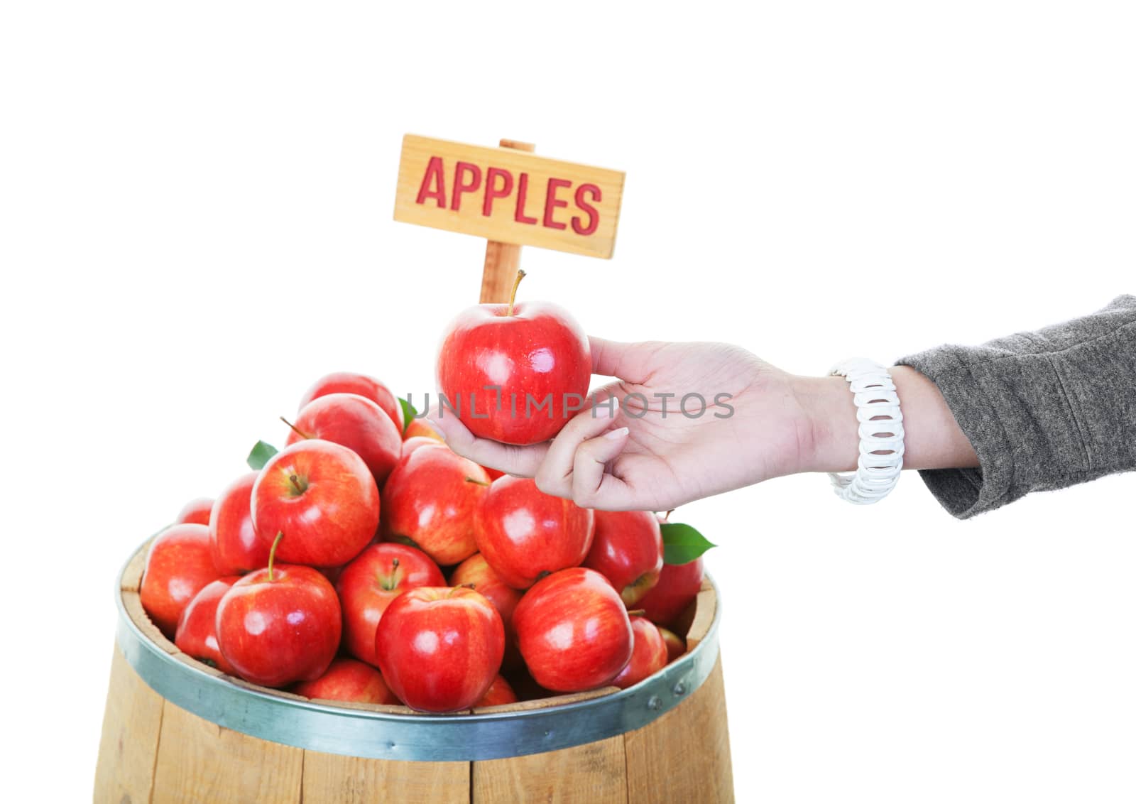A consumer picking an apple from a market display barrel.  Shot on white background.