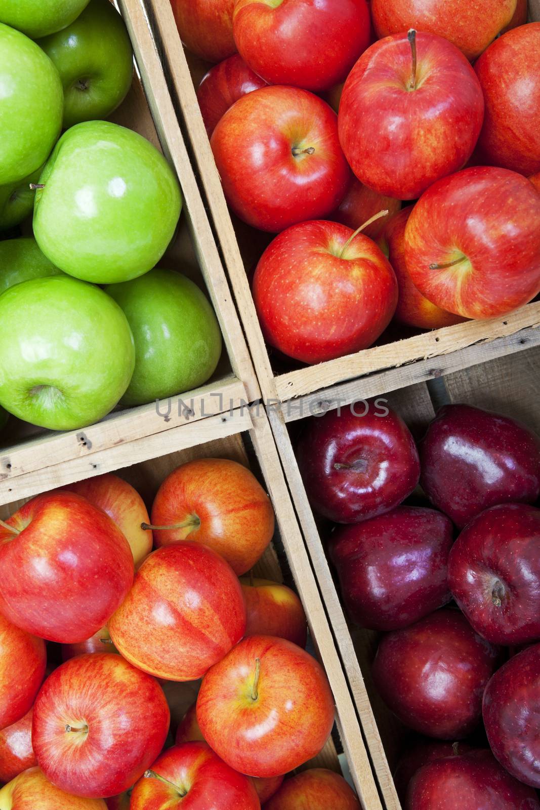 A variety of apples in a market, sorted in wooden bins.