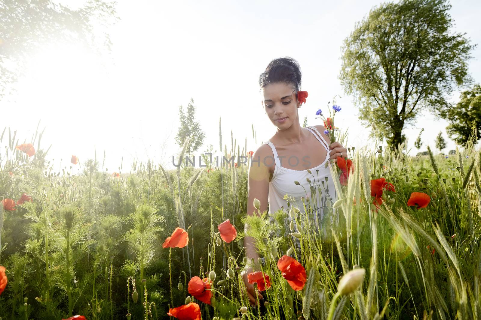 pretty young  woman picking bouquet