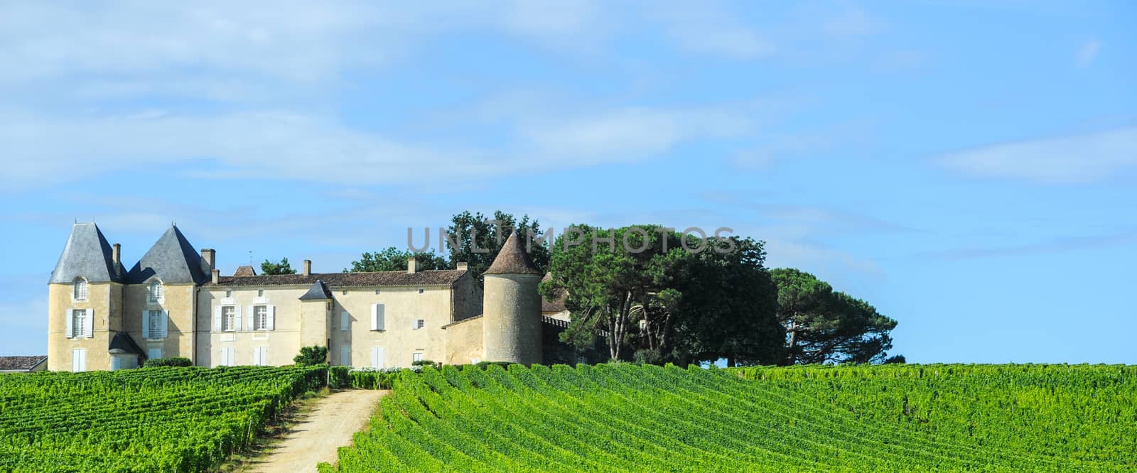Vineyard and Chateau, Sauternes Region, Aquitaine, France