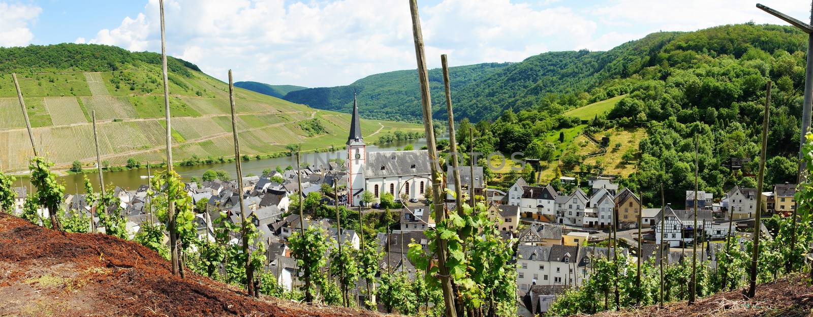 Briedel an der Mosel Panorama
