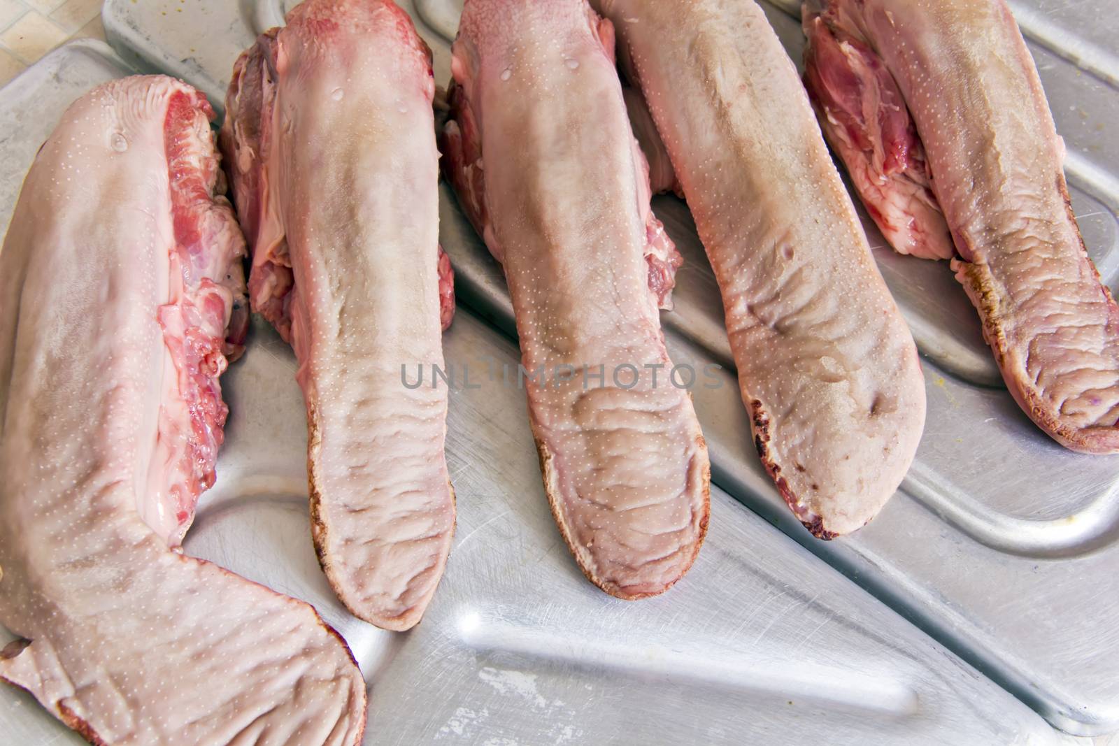 Photo of raw pork tongue on grey background