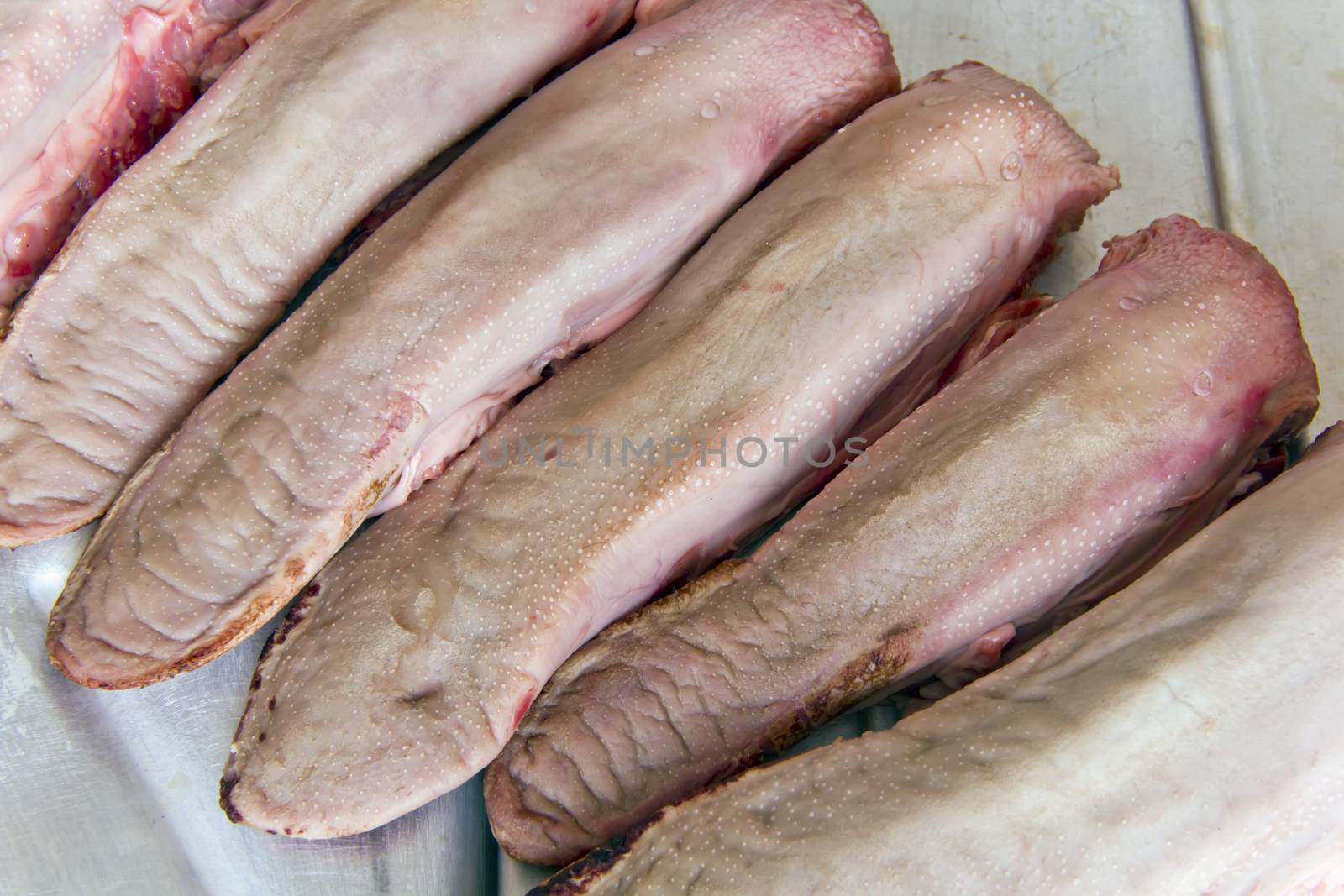 Photo of raw pork tongue on grey background