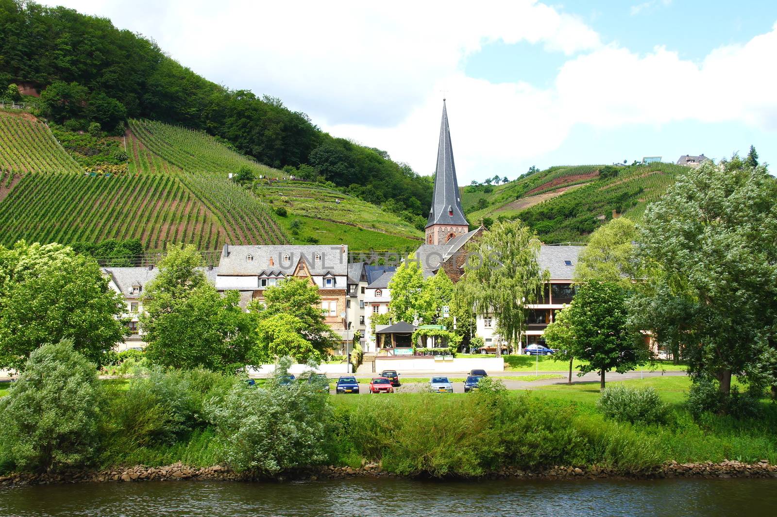 Ürzig an der Mosel im Frühsommer