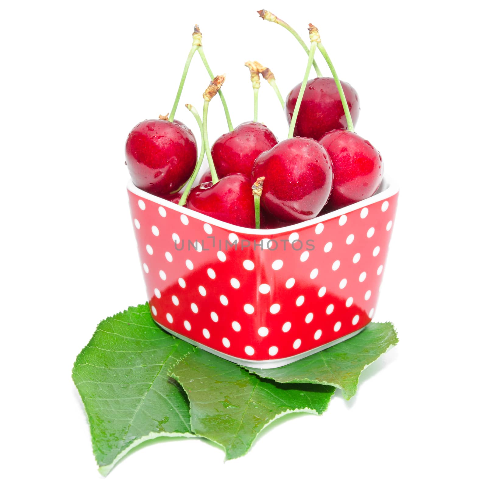 Summer dessert ripe cherry wet with drops berries in red spotted square bowl on fresh leaves