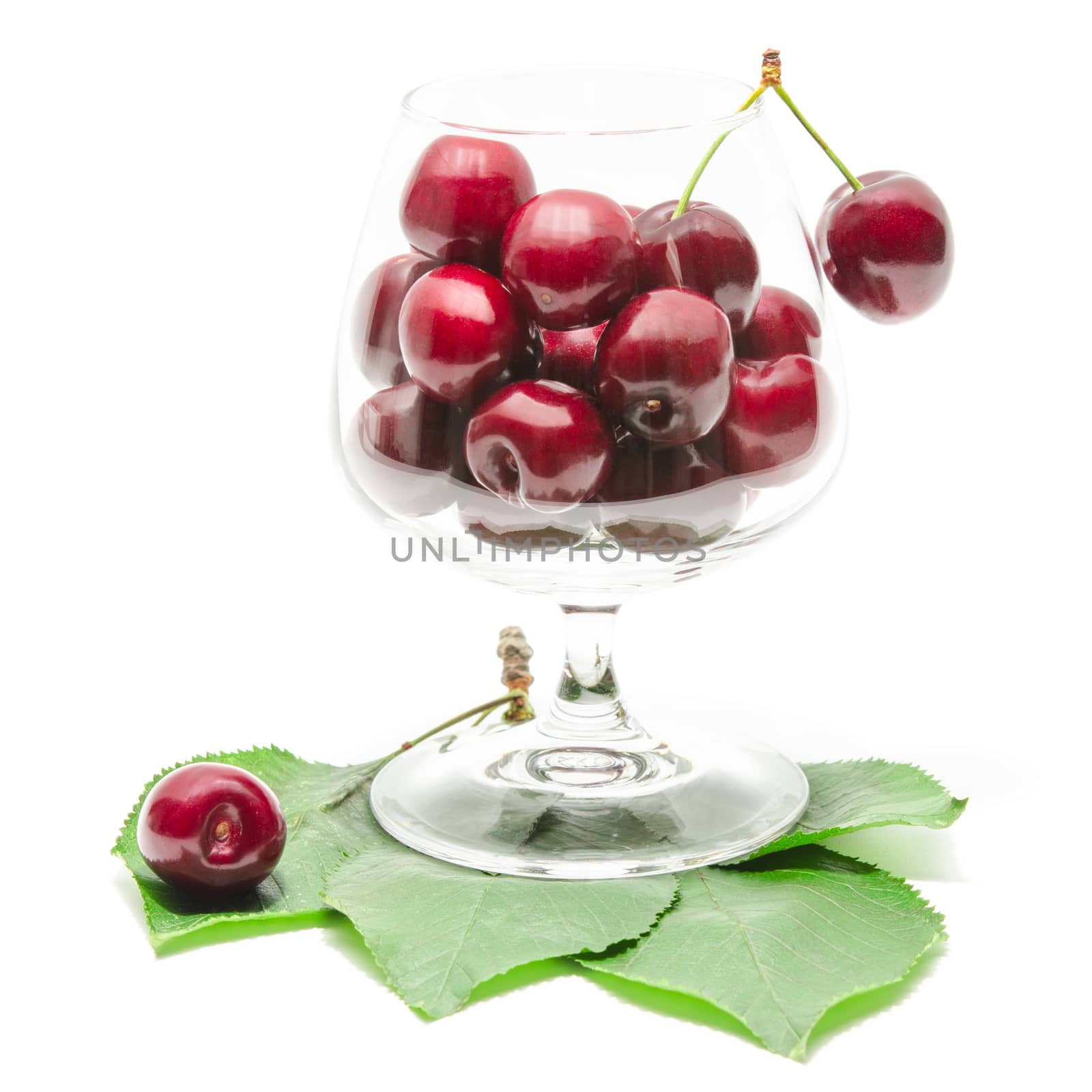 Big ripe cherry sweet and juicy berries fruits in clear wineglass on green fresh leaves isolated on white