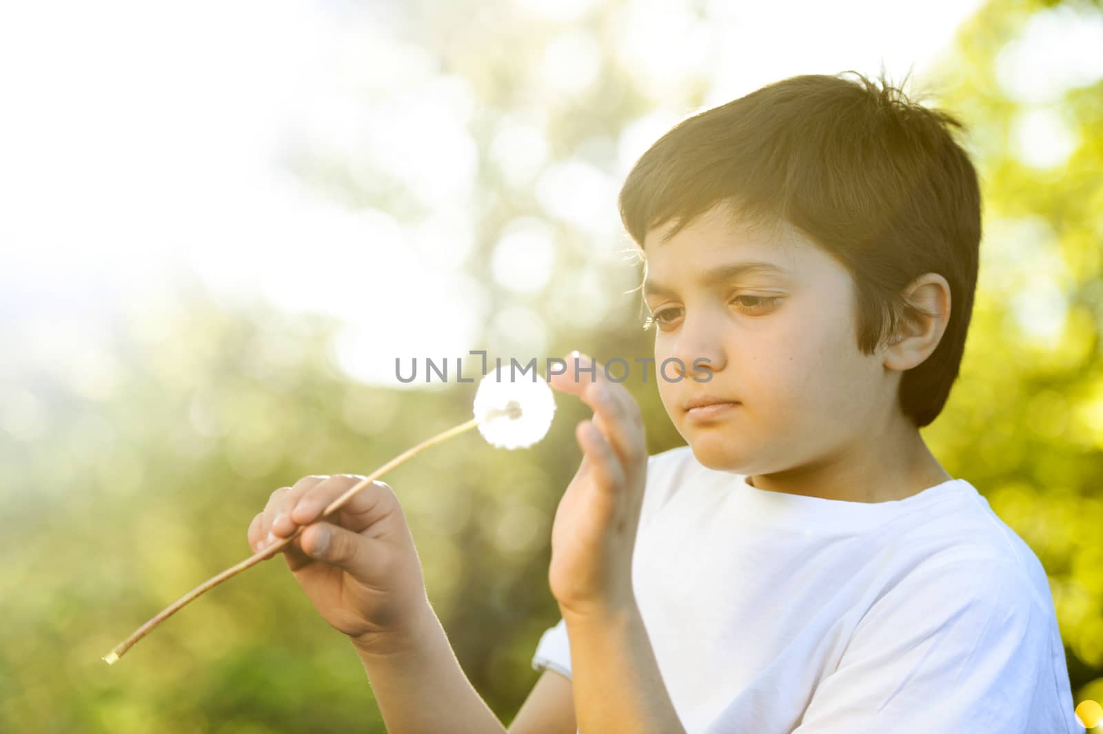 Wishes-Young boy blowing on a dandelion flower in spring