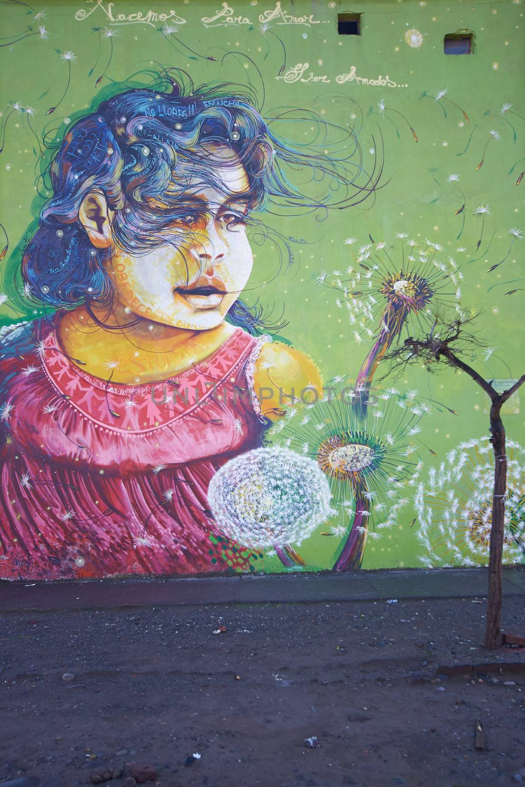 Colourful murals adorning the walls of tenement blocks in the San Miguel area of Santiago, capital of Chile. The area was created as an open air museum in what was a run down area of the city.