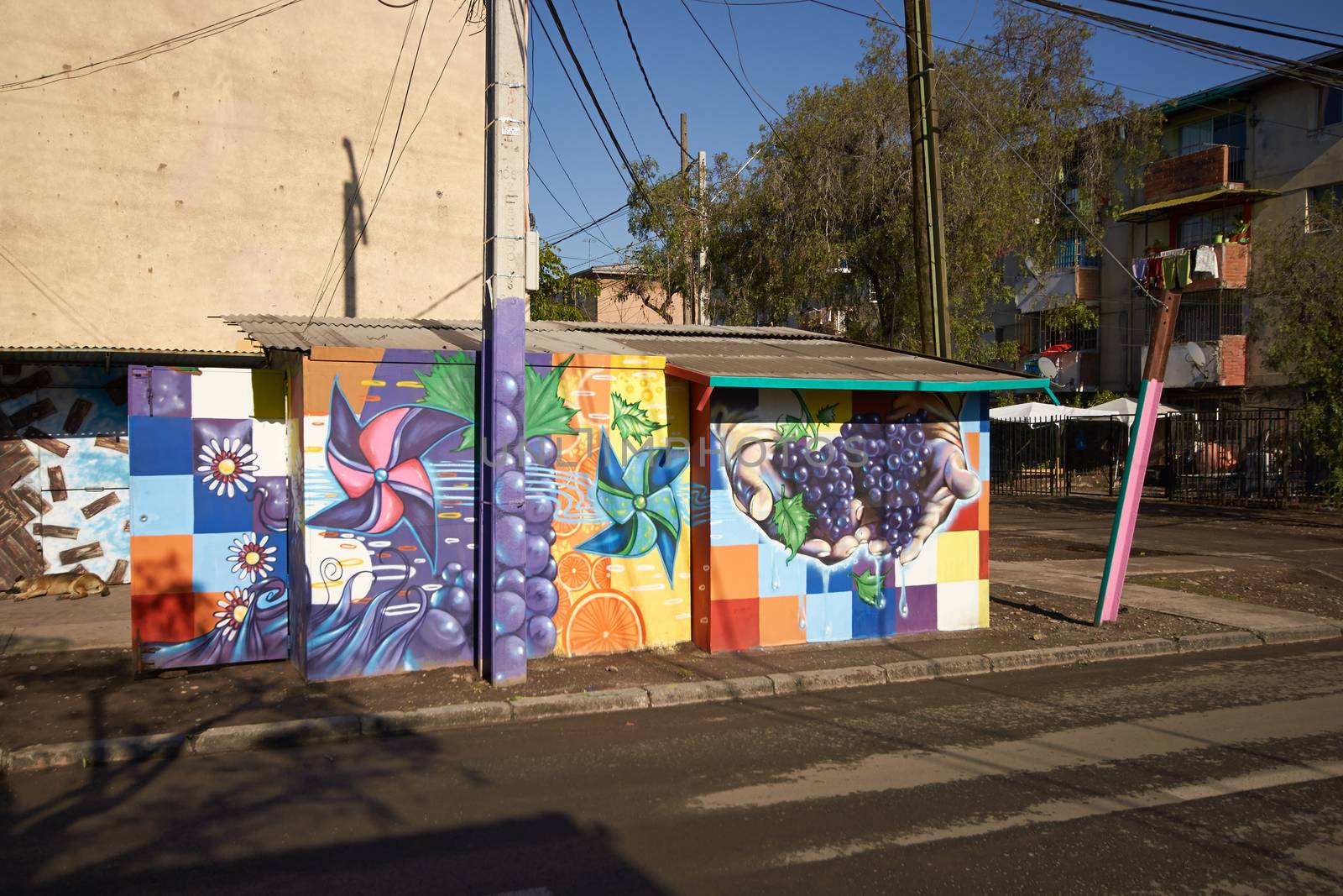 Colourful murals adorning the walls of tenement blocks in the San Miguel area of Santiago, capital of Chile. The area was created as an open air museum in what was a run down area of the city.