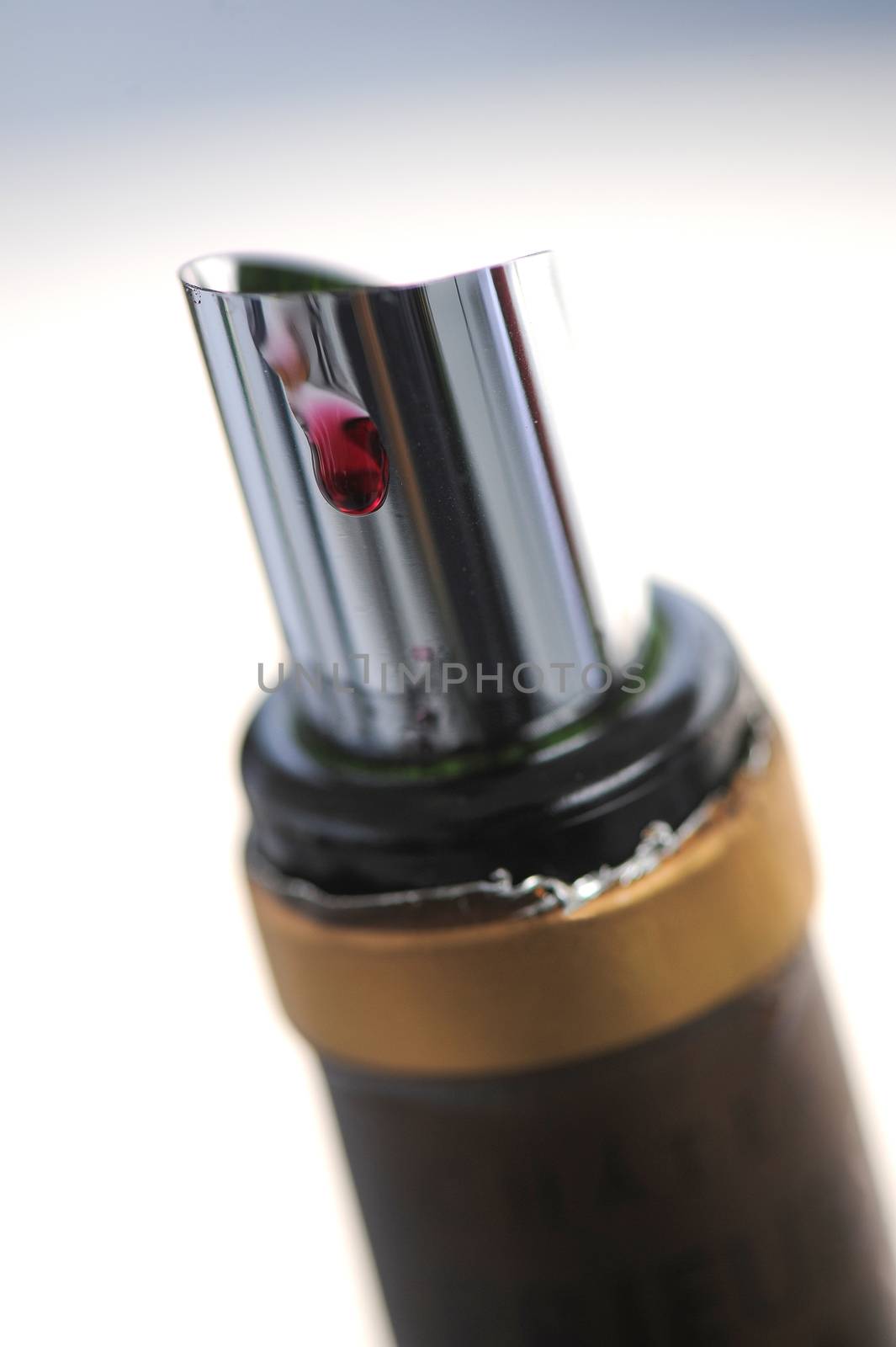 Drop stop - Tasting wine in a vinery