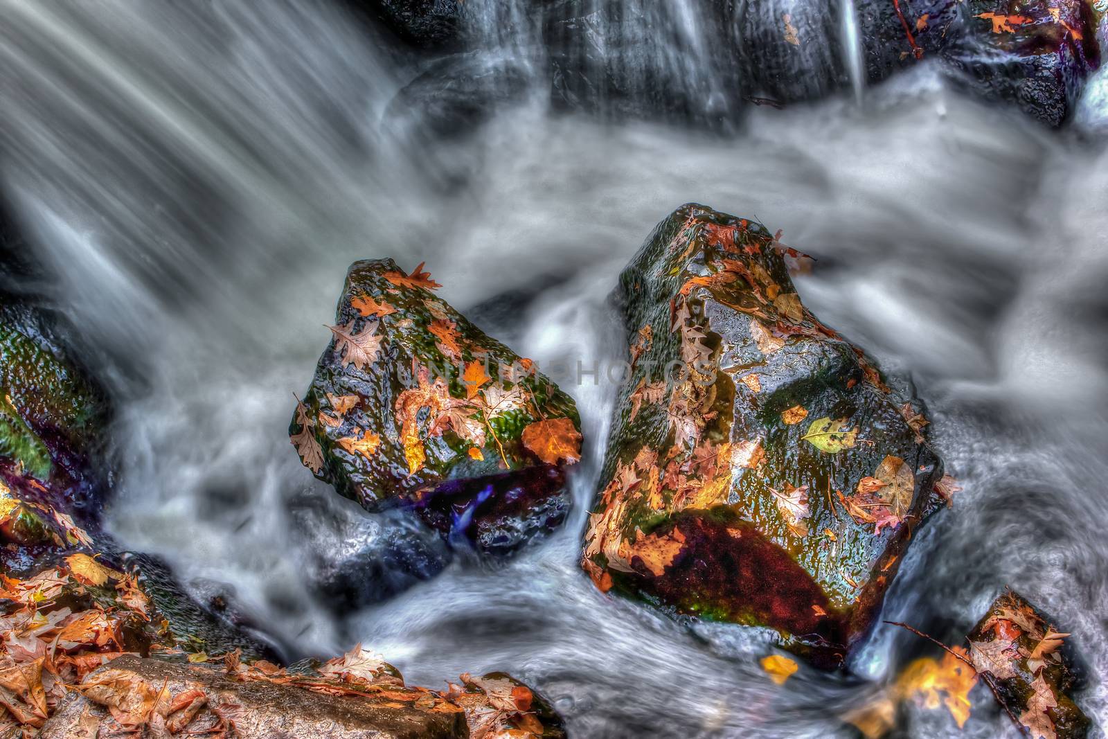 Neat looking rocks and leaves with smooth water running by in high dynamic range