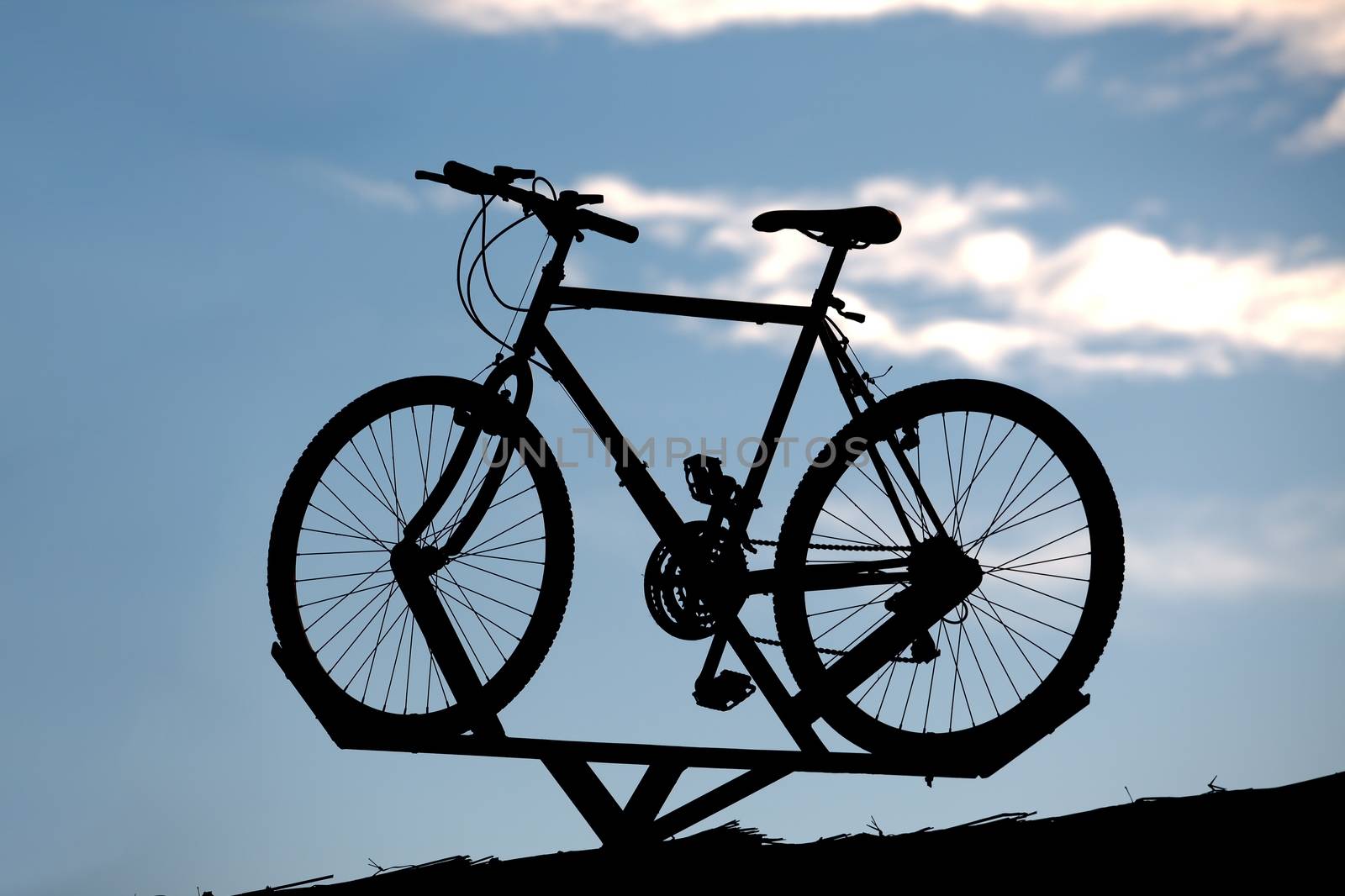Bicycle display by Gudella