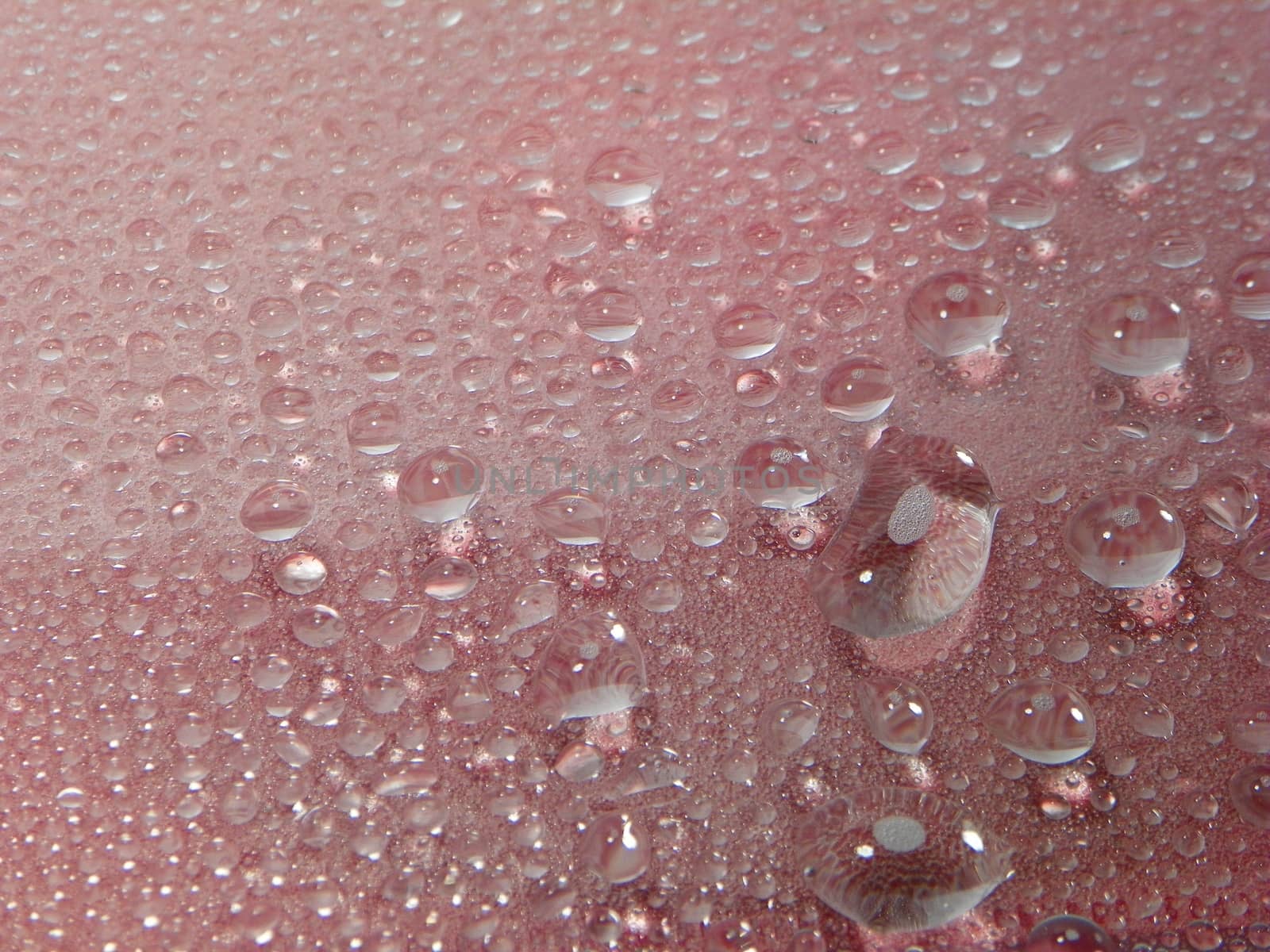 Water drops red background