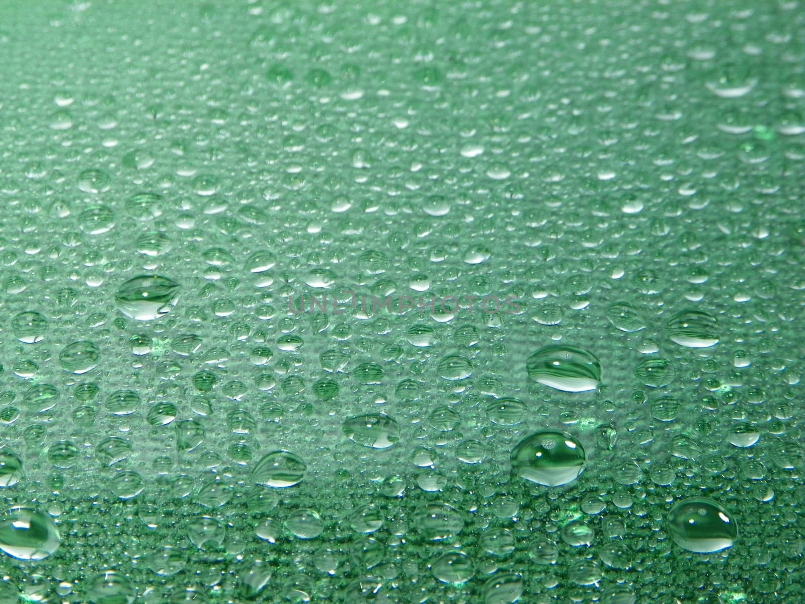 Water drops green background