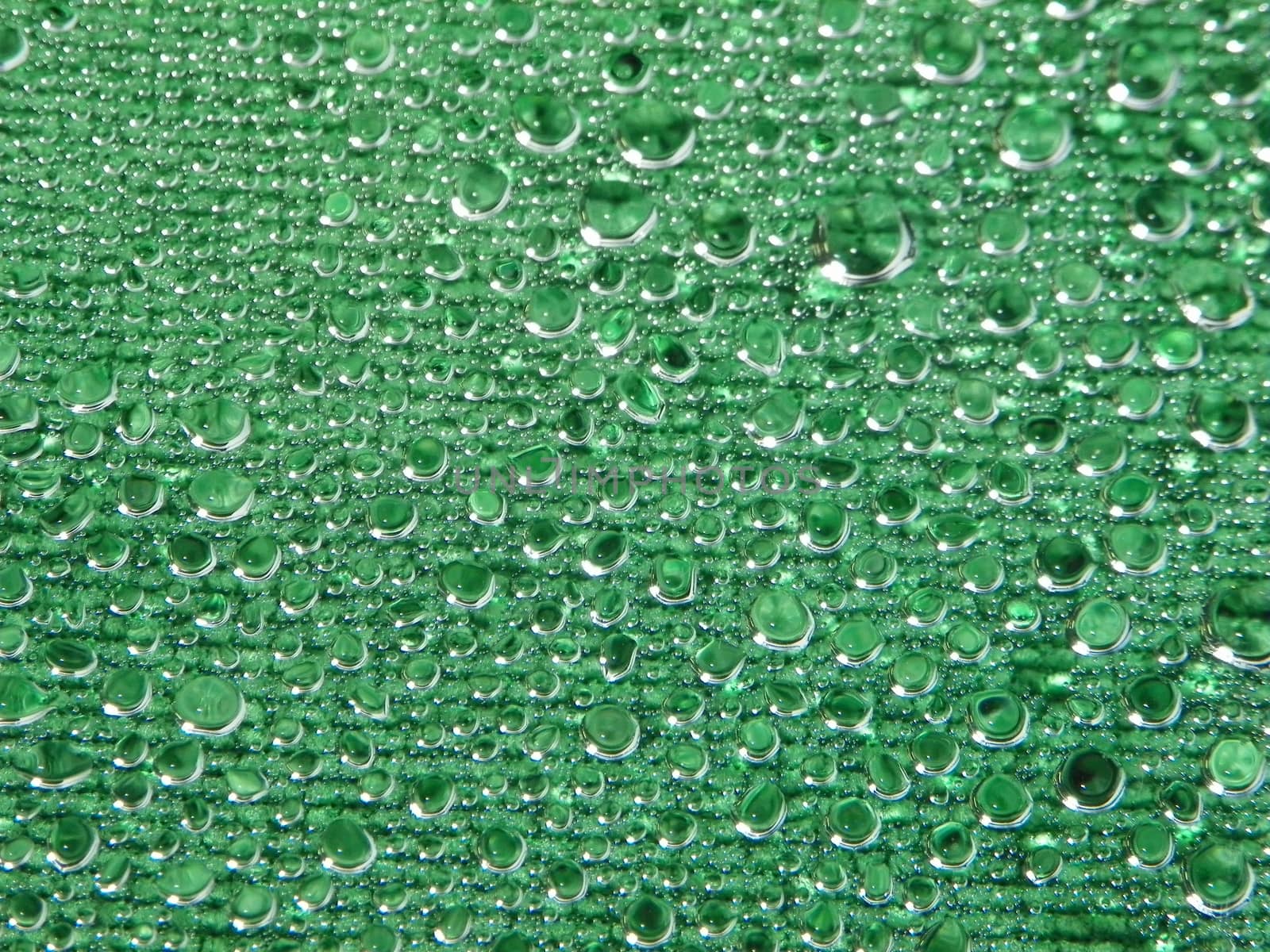 Water drops green background