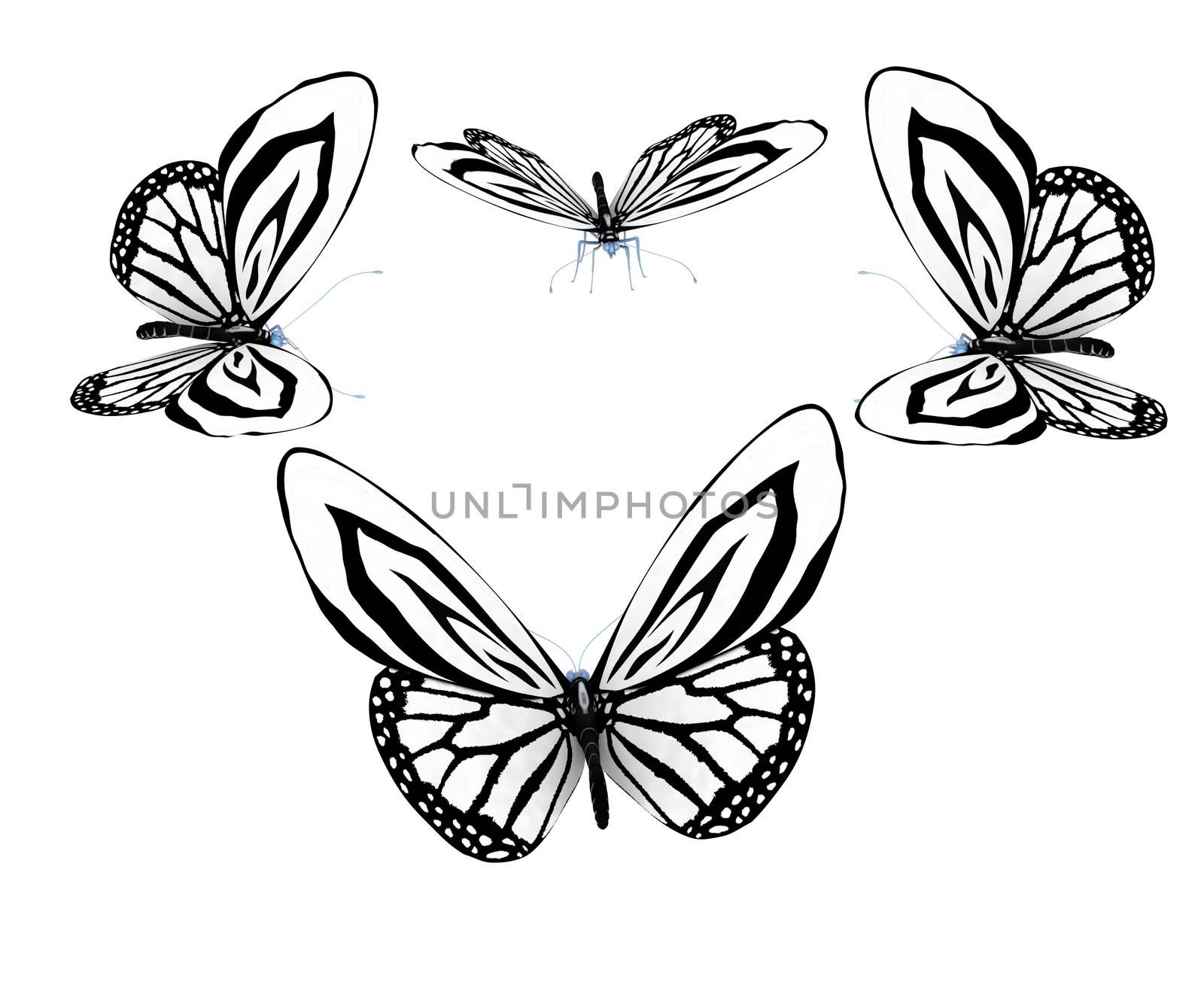 fancy butterflies by Guru3D