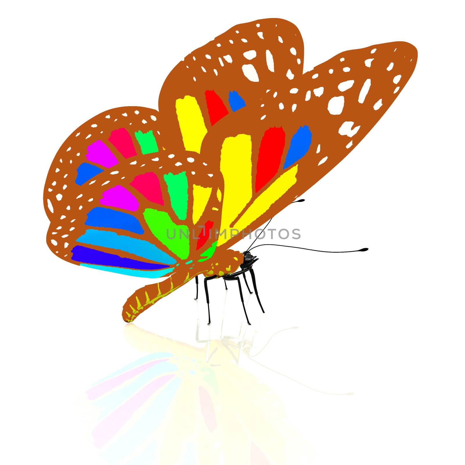 colorful butterfly by Guru3D