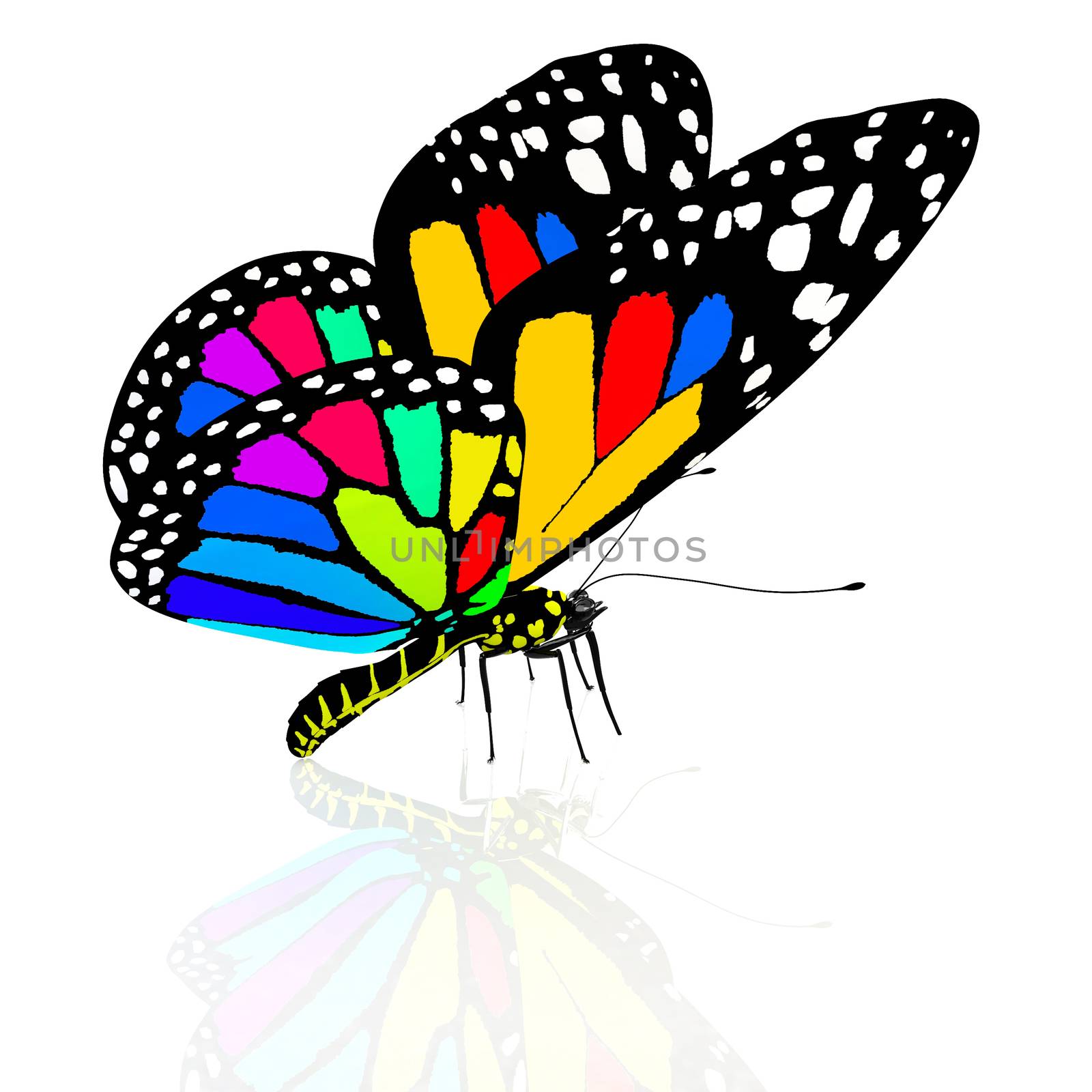 colorful butterfly by Guru3D