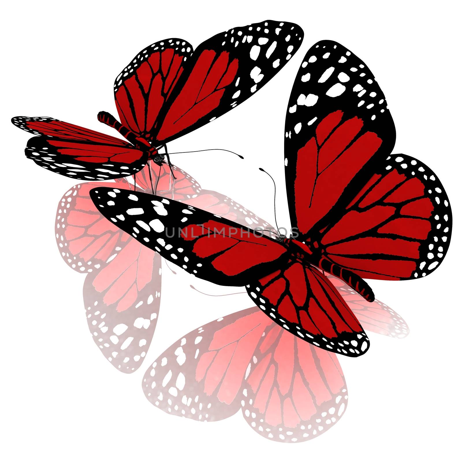 beauty butterflies by Guru3D