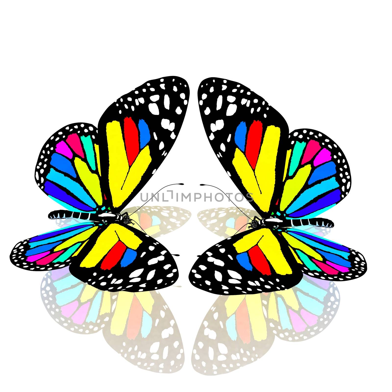beauty butterflies by Guru3D
