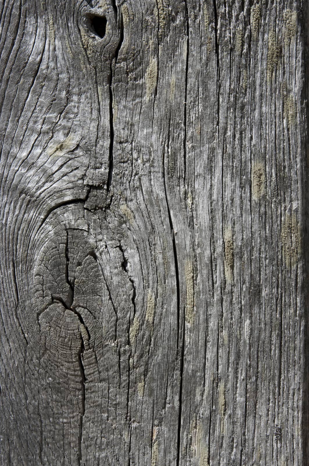 texture of old wood wall in a village house