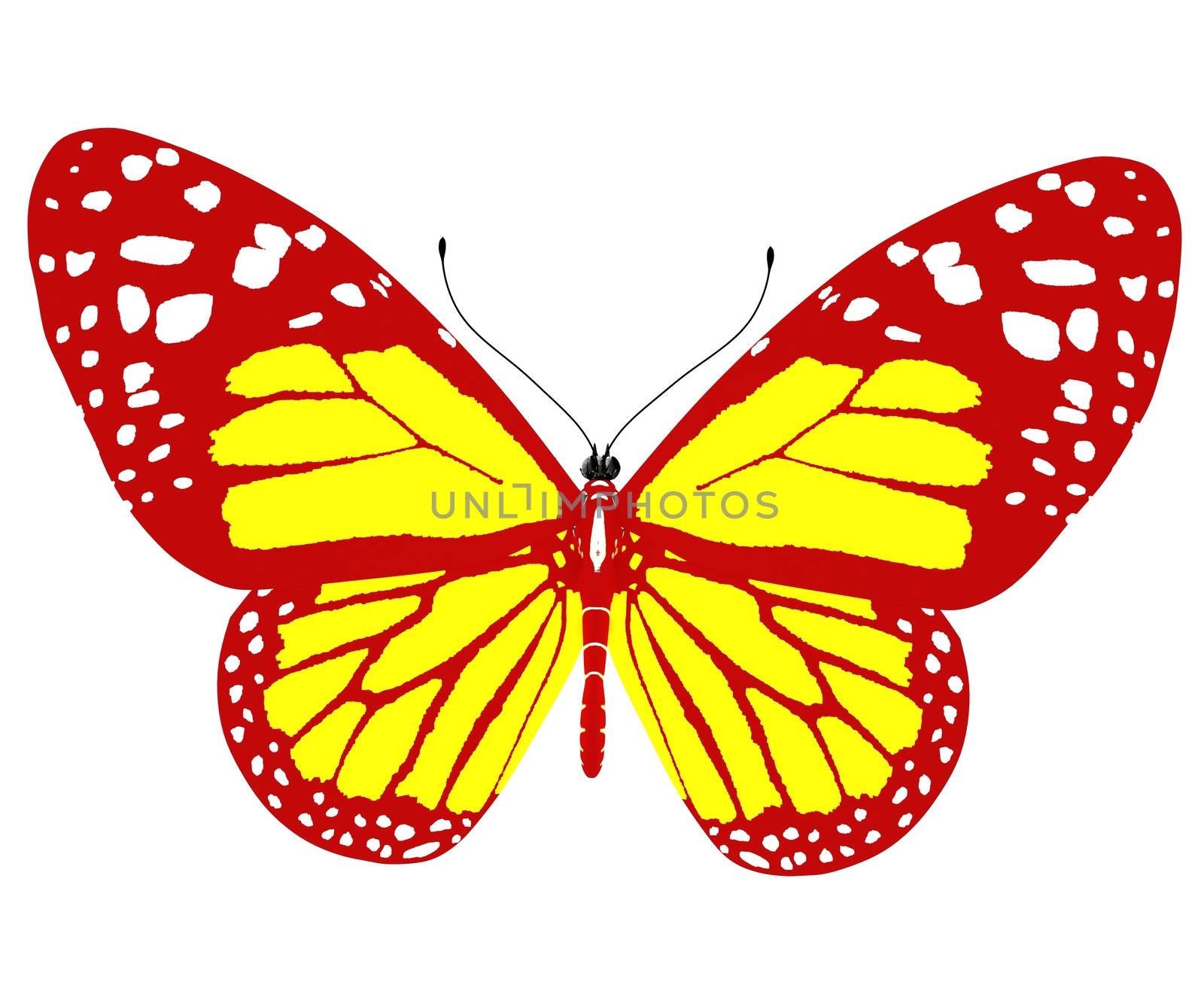 beauty butterfly by Guru3D
