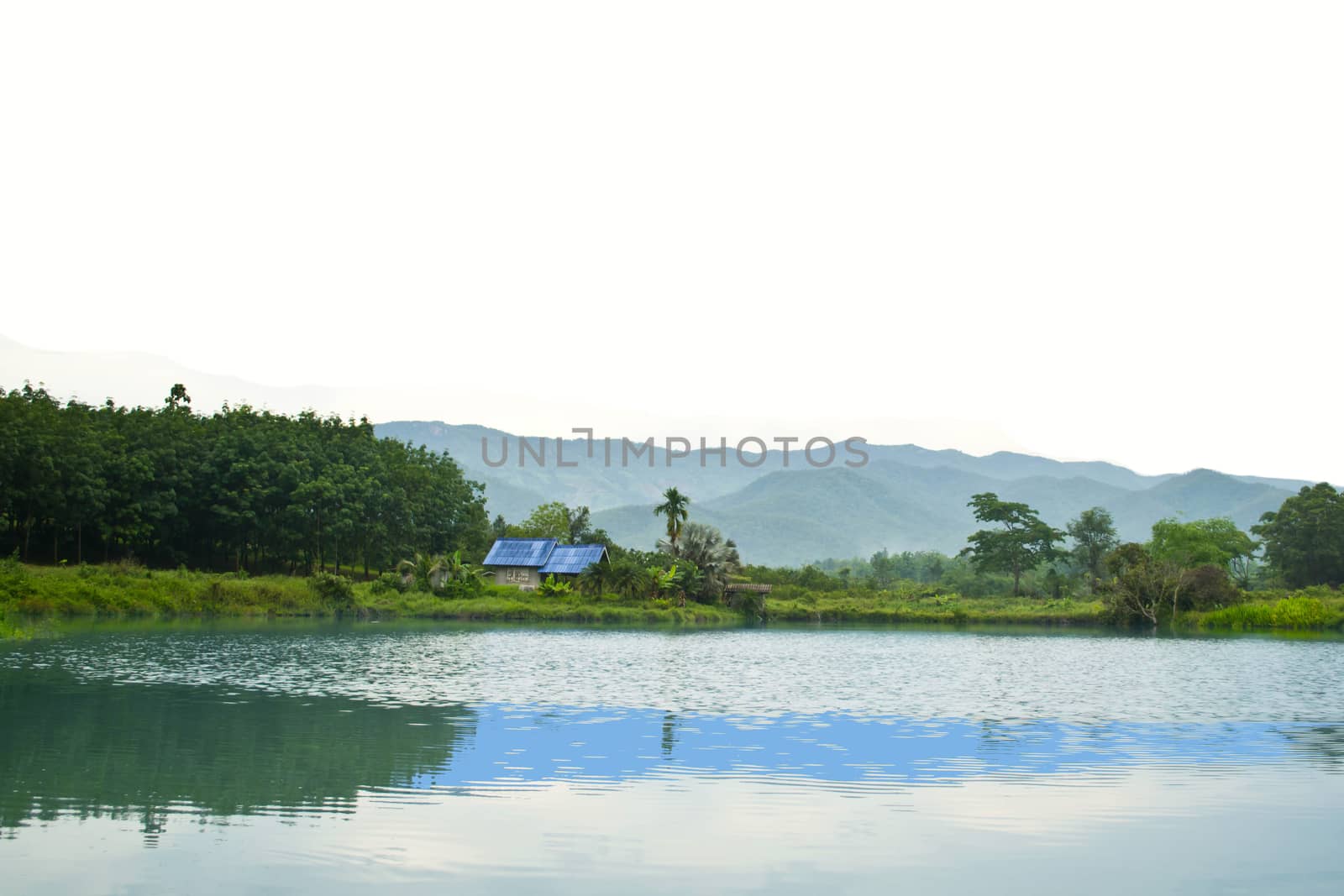 Rivers and Mountains view