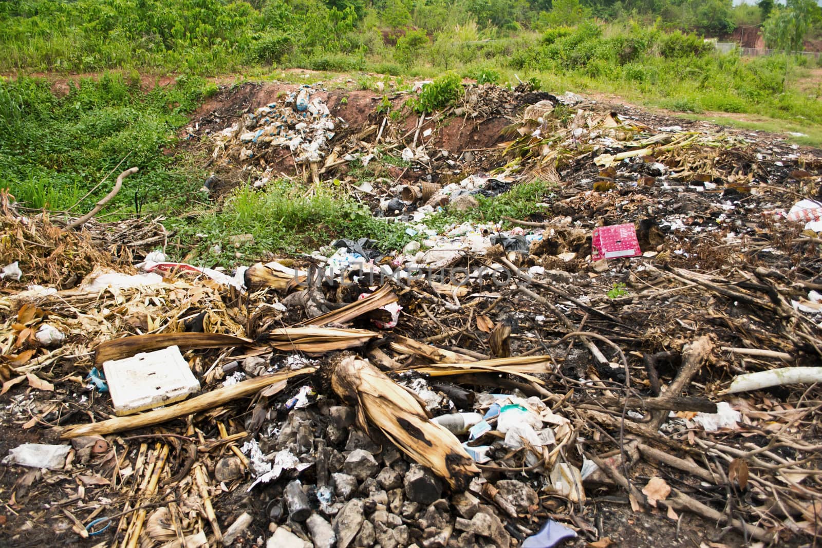 garbage in landfill 