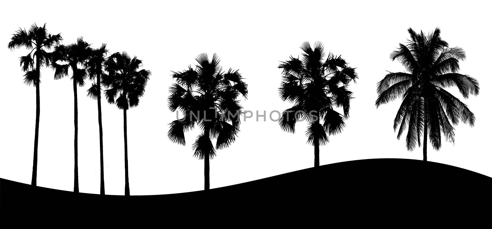 Set of tree silhouette on white background