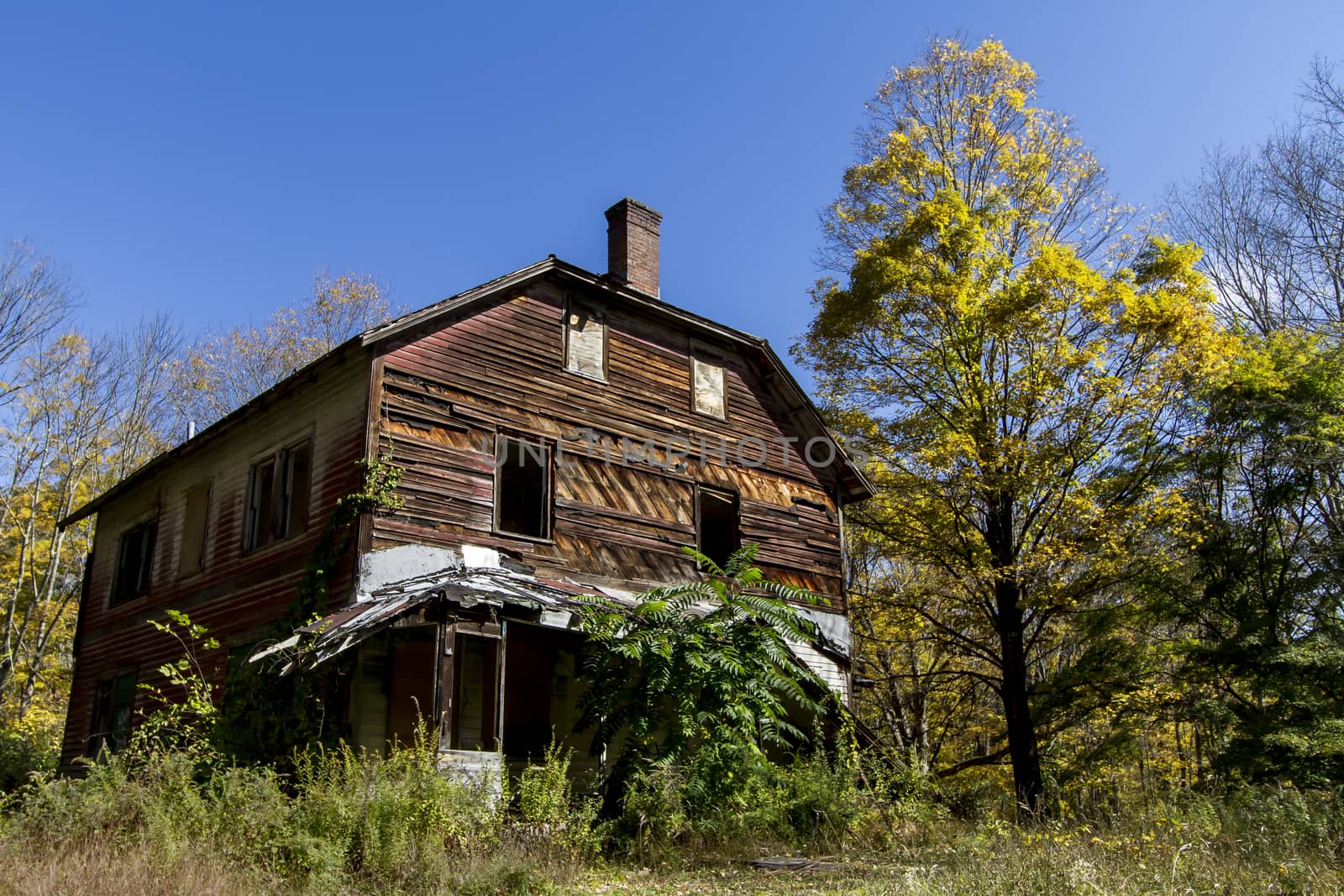 Abandoned house in the woods by tedanddees