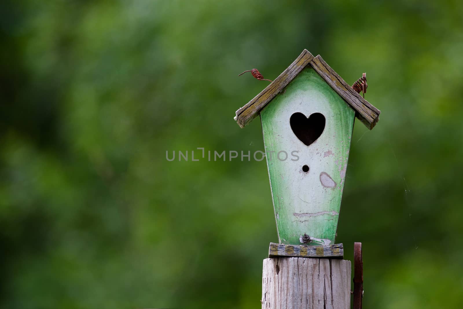 An old & weathered birdhouse, screwed to a post and covered with cobwebs.  Plenty of space for copy.