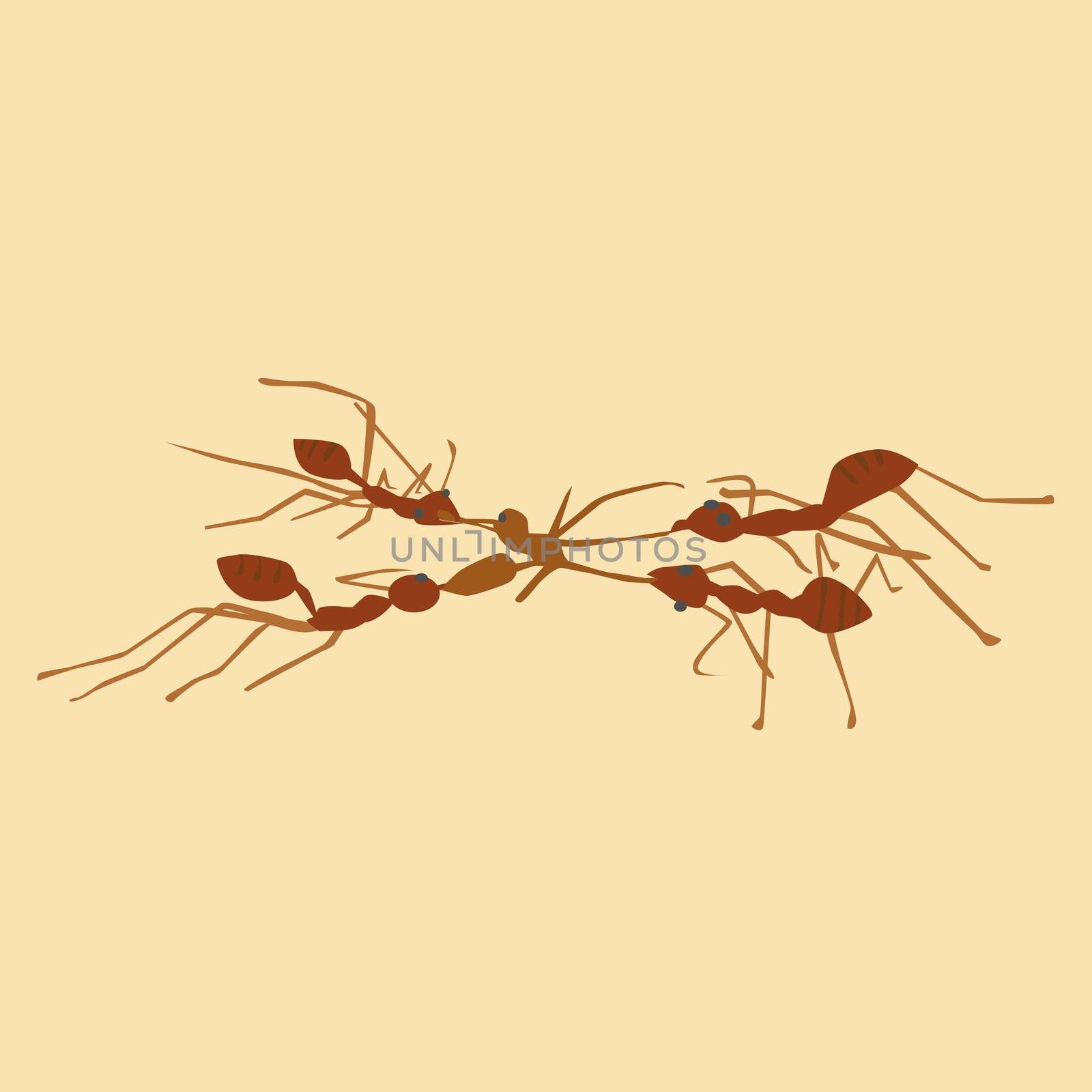 Vector and illustration of ants eat ant