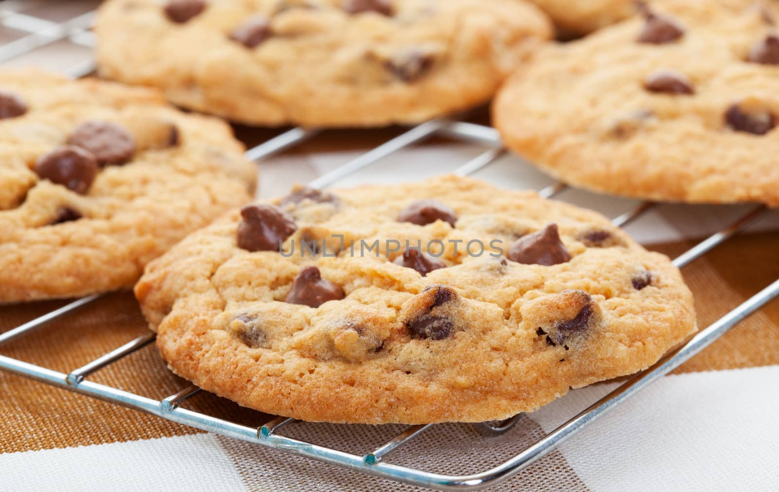 Warm, golden brown, chocolate chip cookies cooling on a rack.  Shallow depth of field.