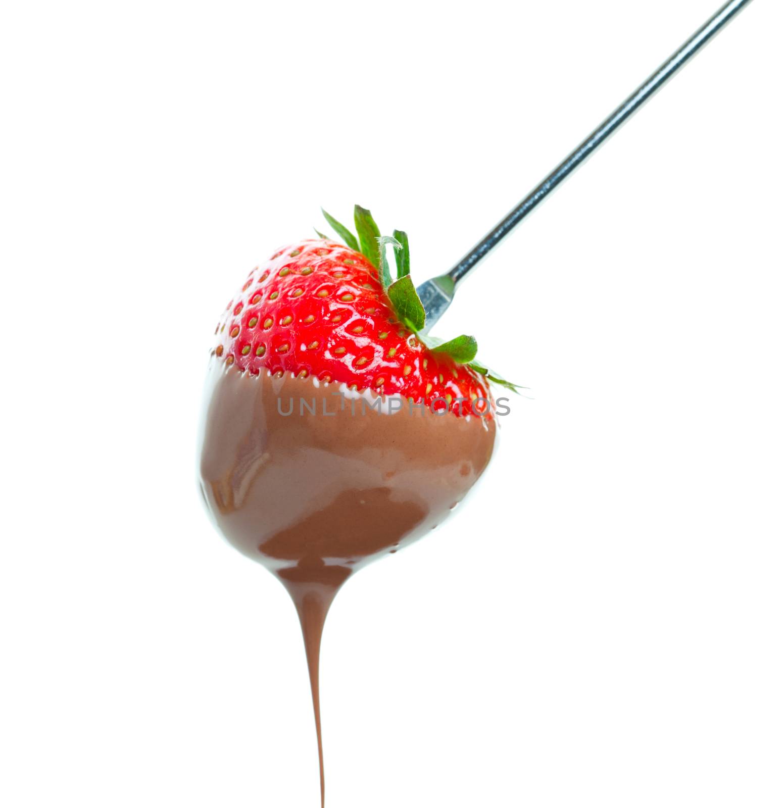 A sweet ripe strawberry dripping with warm milk chocolate.  Shot on white background.
