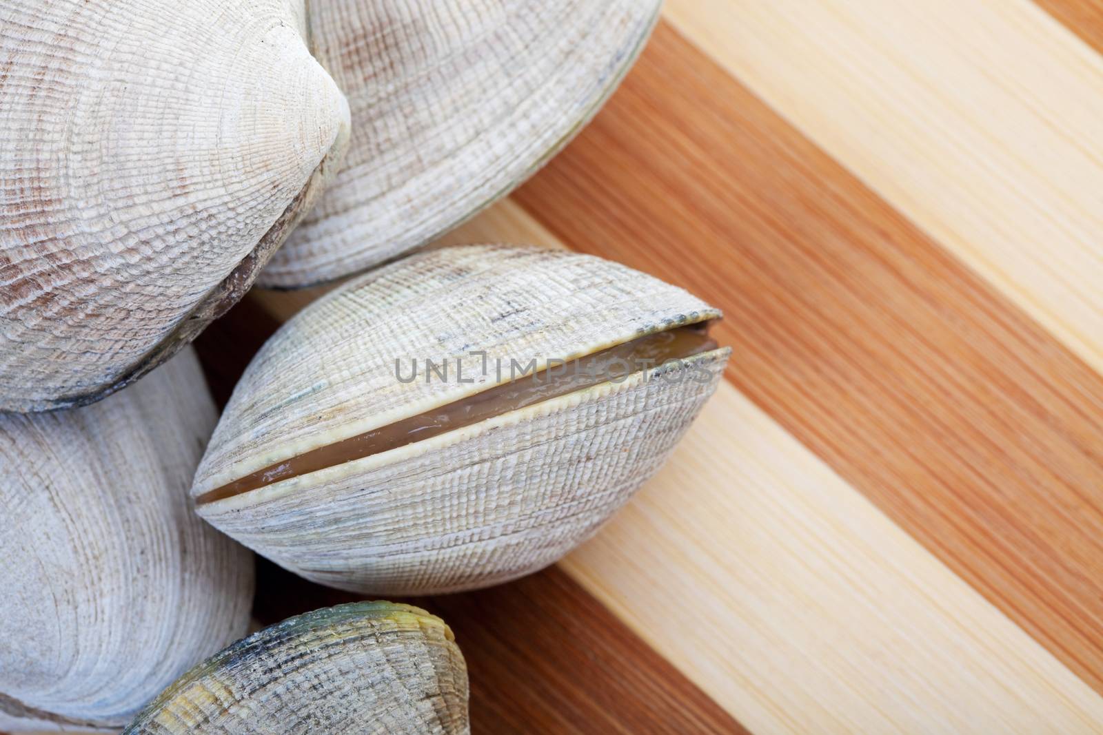 Live clams on a cutting board, ready to cook.  Focus on opening clam.  Shallow dof.