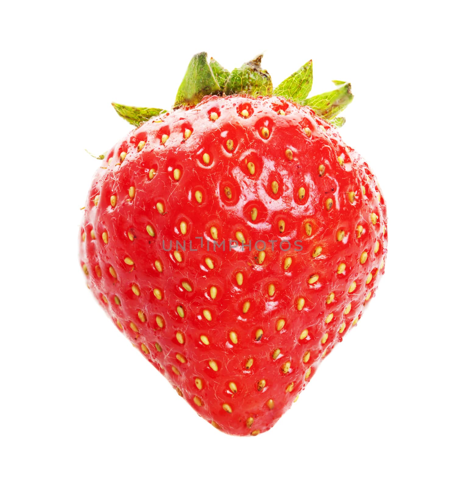 One juicy, organic strawberry.  Shot on a white background.