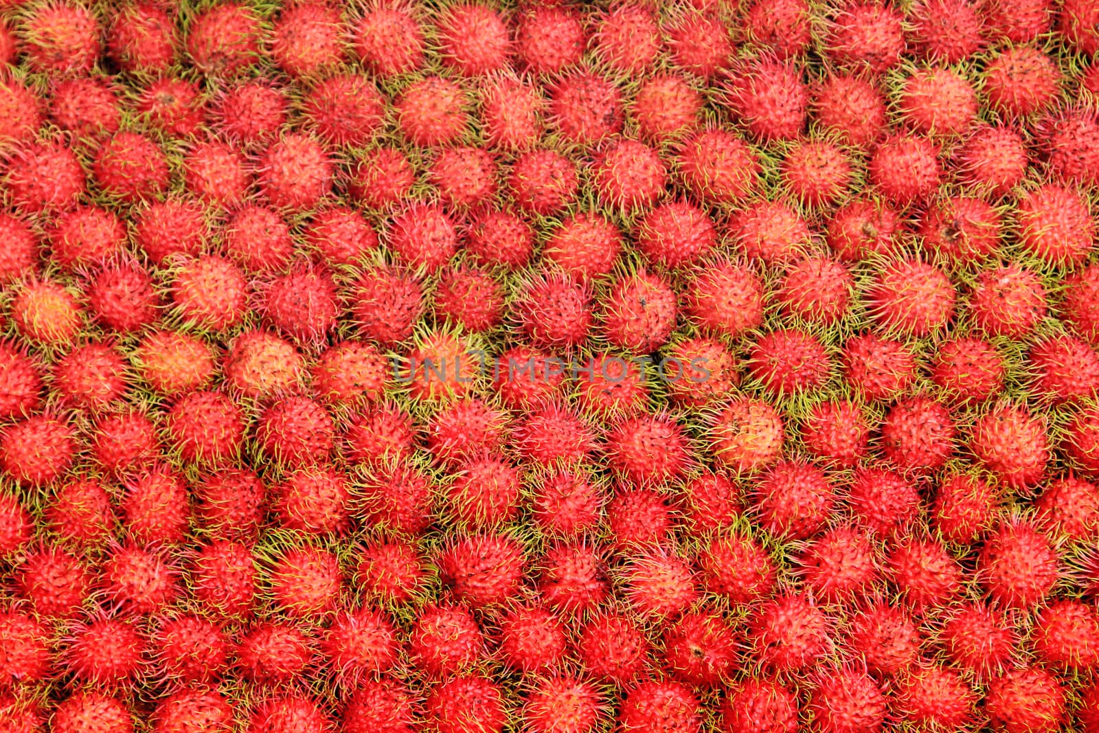 Tropical Fruits Rambutan